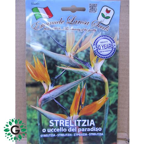 Strelitzia Seeds Green Experts Landscape Llc