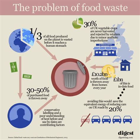 The Problem Of Food Waste Food Waste Infographic Food Wastage Food