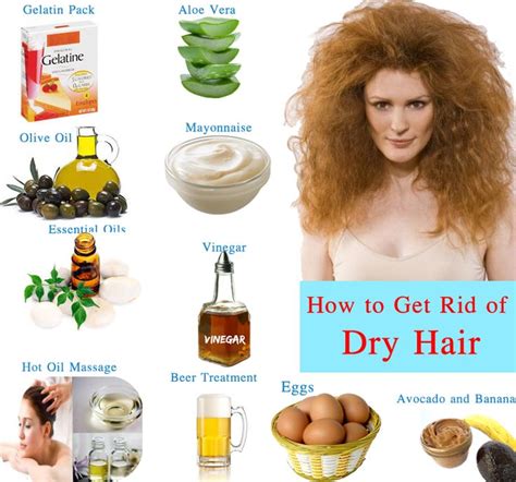 Best Therapies For Very Damaged Hair 10 Best Shampoos For Dry