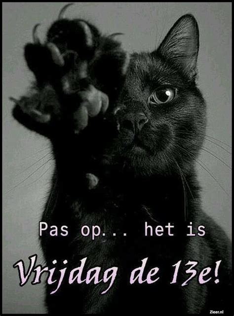 Maybe you would like to learn more about one of these? Zieer.nl - grappige plaatjes, grappige foto's, grappige ...
