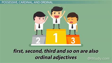 The professionalism of the staff at cardinal financial is excellent. What is a Limiting Adjective? - Definition & Examples ...