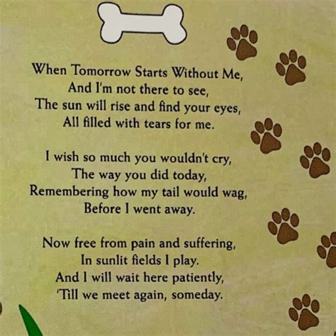 Banberry Designs Pet Memorial Picture Frame When Tomorrow Starts