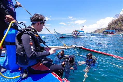 Bauan Island Hopping Tour with Diving in Batangas - Klook India
