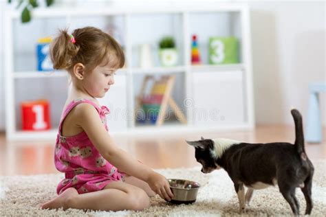 Beautiful Kid Girl Feeding Her Dog In The Living Room Stock Image