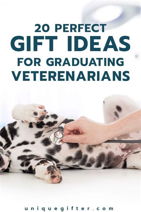 This post contains affiliate links. 20 Gift Ideas for Graduating Veterinarians | Veterinarian ...