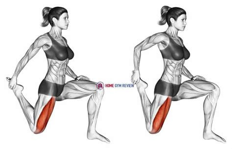 Quadriceps Stretch Home Gym Review