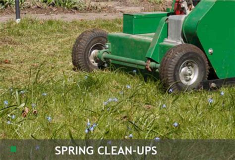 Properly Caring For Your Lawn In The Spring Will Help It Grow More Lush