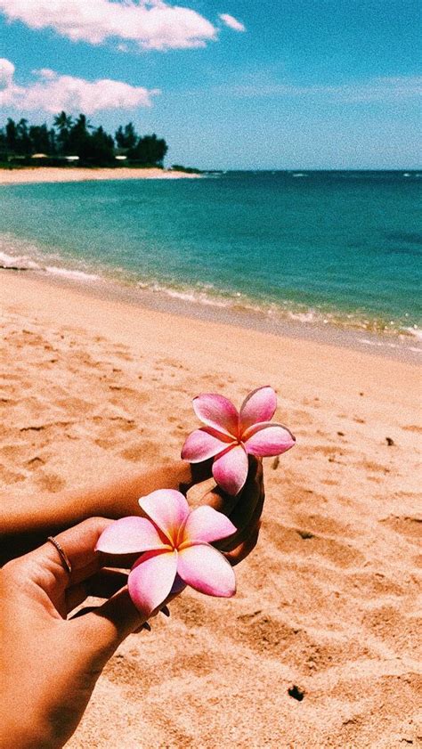 It is widely considered the favorite season of many, considering that it is the vacation period of schools and many adults. hawaiian flowers 🌺 🌊 | Beach wall collage, Beach aesthetic ...