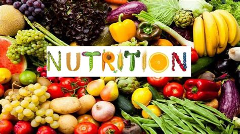 Ppt Nutrition Powerpoint Presentation Free Download Id7167570