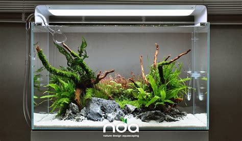 Simonsaquascapeblog Aquascape Aquarium Aquascape Design Aquascape