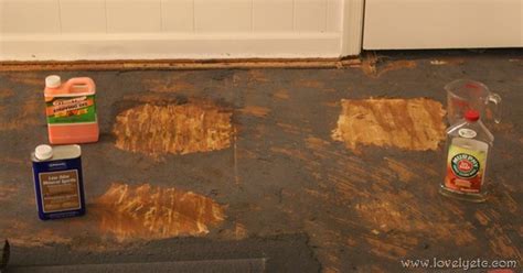 How to remove glued-down carpet - Lovely Etc.