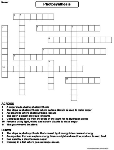 Showing 8 worksheets for photosynthesis crossword puzzles. Photosynthesis Crossword Puzzle | Teaching Resources