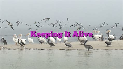 Keeping It Alive Dial Hope