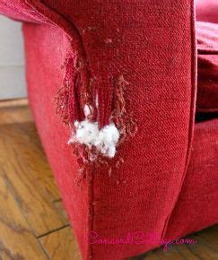 The first is where the cat scratches the sides of the sofa, by plucking out the fibres/hairs from the leather. How to Repair a Cat Scratched Chair or Sofa | Diy sofa ...