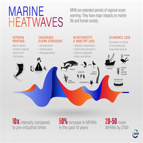 Marine Heatwaves Clearias