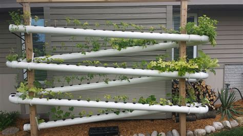 Diy Vertical Hydroponics Pvc Easy Diy Pvc Hydroponics Backyard System