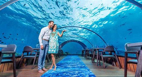 Experience Fine Dining Underwater At These Underwater Restaurants In Dubai