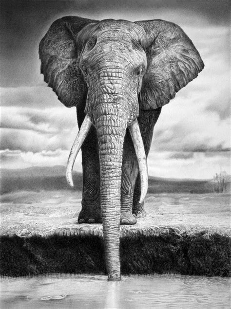 10 Excellent Elephant Drawings For Inspiration Hative