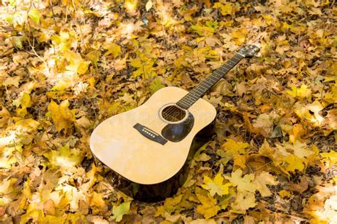 737 Guitar Autumn Leaves Stock Photos Free And Royalty Free Stock