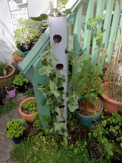 How To Make A Vertical Strawberry Tube Planter Urban
