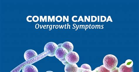 Double Check These 5 Possible Candida Overgrowth Symptoms