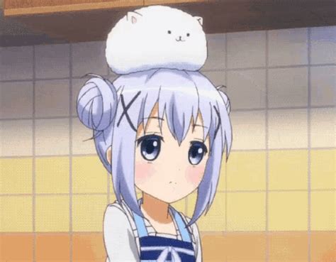 Added 6 years ago troll36 in funny gifs. Gochiusa Chino GIF - Gochiusa Chino Tippy - Discover & Share GIFs