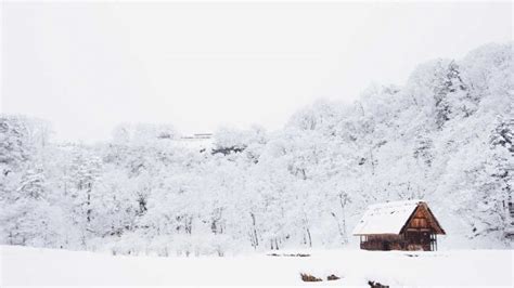 Si El Agua Y El Hielo Son Transparentes ¿por Qué La Nieve Es Blanca