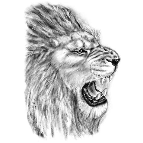 Roaring Lion Temporary Tattoo For Men And Women Large Sepia Etsy