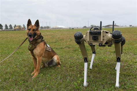 Robot Security Dogs Have Arrived At Tyndall Air Force Base