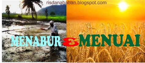 Kata bijak hukum tabur tuai. Hukum-hukum kehidupan - atau Hukum tabur Tuai ...