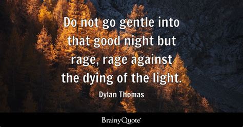 Do Not Go Gentle Into That Good Night But Rage Rage Against The Dying