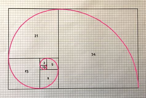 El Matenavegante La Espiral De Fibonacci 1 Dibujo En Papel