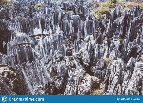 Stone Forest Limestone Formation In Yunna China Stock Image Image Of