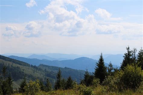 Free Images Landscape Tree Nature Forest Wilderness Cloud Sky