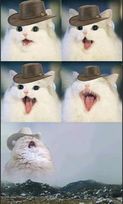 Country Cat Singin Blank Template Imgflip