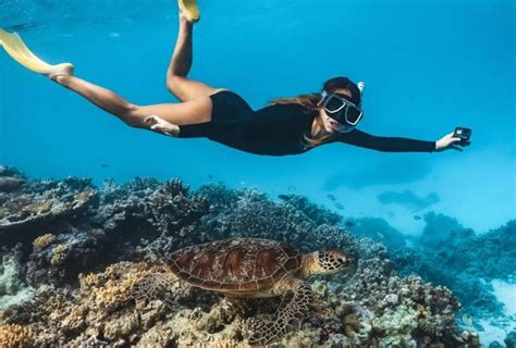 Swim With Australias Marine Life Tourism Australia