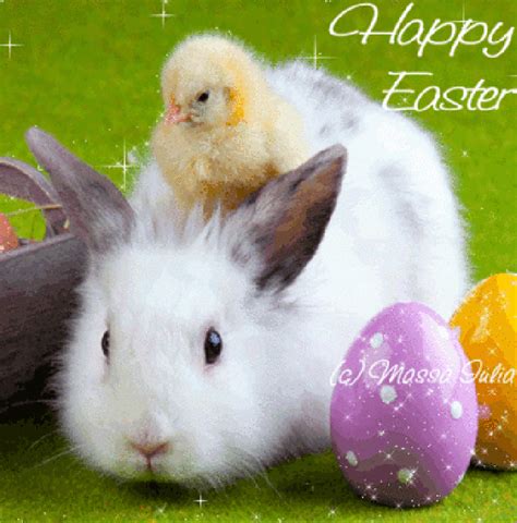 Happy Easter ♡♥♡ Easter Bunny Pictures Easter Bunny Images Real