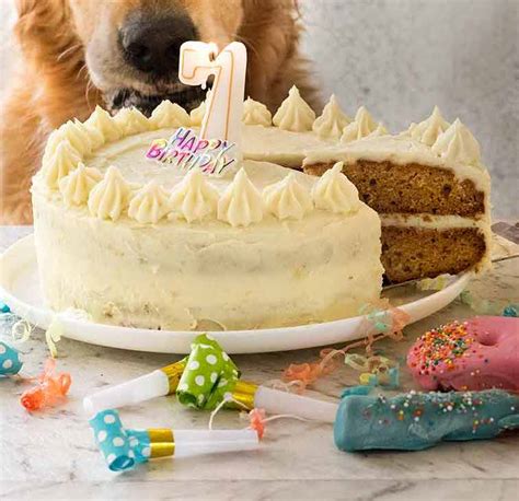 Dog Cake Recipe For Dozers Birthday Recipetin Eats