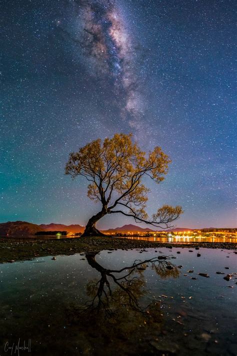 New Zealand Nights Milky Way Above The Famous Tree In Wanaka Famous