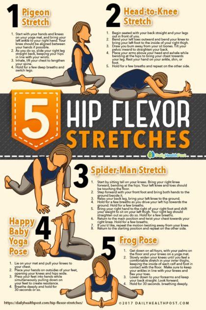 Muscles of the gluteal region. Hip Flexor Stretches That Will Rid You of Lower Back Pain | BeWellBuzz