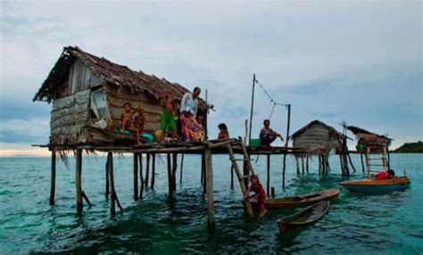 8 Suku Suku Di Pulau Kalimantan Dan Penjelasannya Broonet