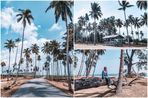 Kampung Mangkuk Lokasi View Pokok Kelapa Di Terengganu. Port Cantik