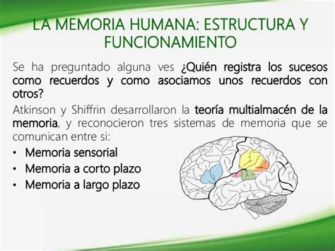 Funciones Cognitivas La Memoria Humana