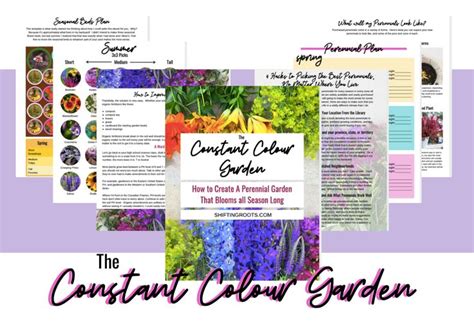 See more ideas about plants, perennials, gardening zones. 53 Favourite Perennials to Plant in Zone 3 in 2020 ...