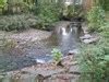 High tor wildlife management area. High Tor Wildlife Management Area - Naples, NY - Scenic ...
