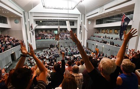 love finally conquered historic same sex marriage bill passes australian parliament sbs news