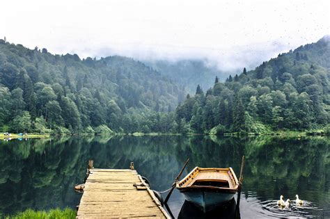 Artvin Karagol Lake Forest Landscape Nature Beauty