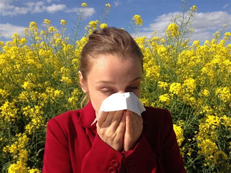 Overcoming Allergy Problems In Texas In Autumn