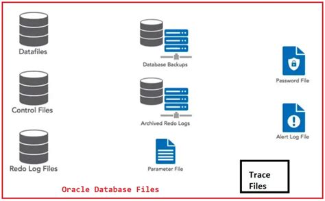 Oracle Database Vs Database Instance Dot Net Tutorials