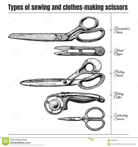 Which you choose depends on where you are in. Types Of Sewing And Clothes-making Scissors Stock Vector ...